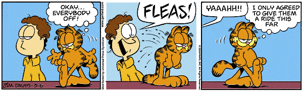 garfield